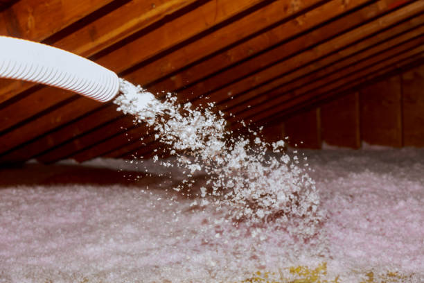 Best Cellulose Insulation  in Hazleton, PA