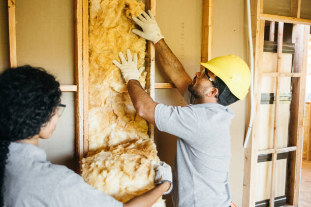 Best Insulation Contractors for Homes  in Hazleton, PA