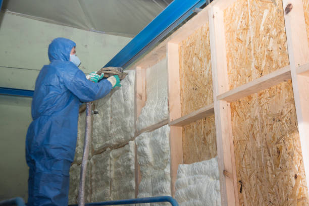 Best Home Insulation Services  in Hazleton, PA